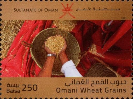 Omani Wheat Grains