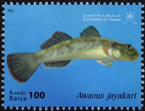Awaous jayakari