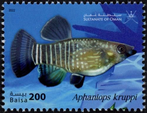 Aphaniops kruppi