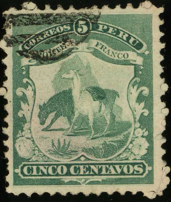 Lama (Lama glama)