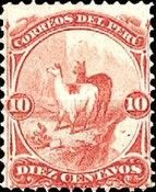 Llama (Lama glama)