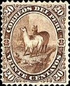 Lama (Lama glama)