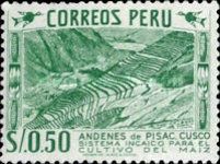 Maize Terrace-Agriculture