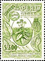 Tobacco-Plant of Tumbes