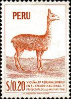 Vicuña Peruana