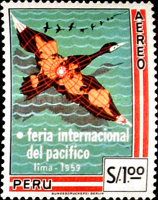 Map of Americas on Cormorant