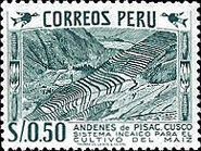 Maize Terrace-Agriculture