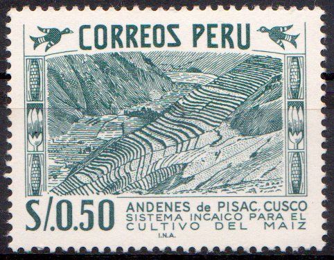 Maize Terrace-Agriculture