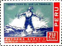 Freed Andean Farmer