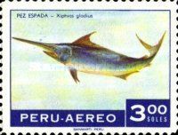 Swordfish (Xiphias gladius)