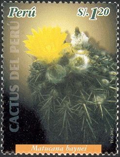 Matucana baynei
