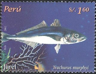 Chilean Jack Mackerel (Trachurus murphyi)