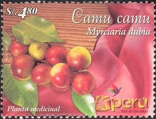 Camu Camu (Myrciaria dubia)