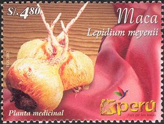 Maca (Lepidium meyenii)