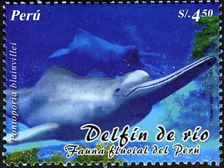 "Pontoporia blainvillei" (see Description)