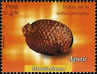 Mauritia flexuosa