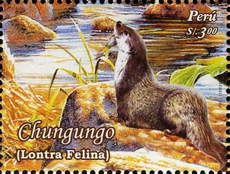 Sea Cat (Lontra felina)