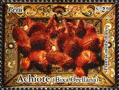 Achiote (Bixa orellana)