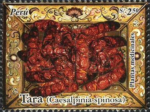 Tara (Caesalpinia spinosa)