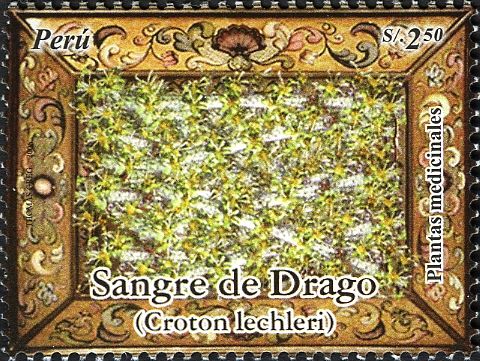 Sangre de Drago (Croton lechleri)
