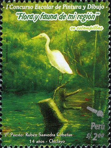 Great Egret (Ardea alba)