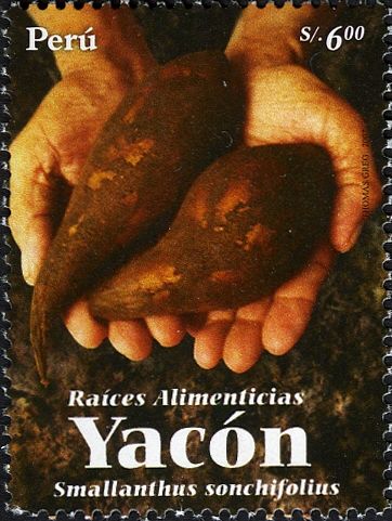 Yacón (Smallanthus sonchifolius)