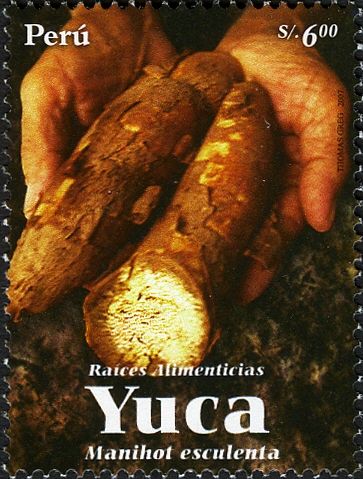 Yuca (Manihot esculenta)
