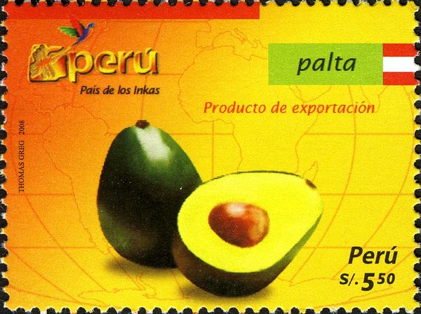 Products for Export - Palta or Avocado