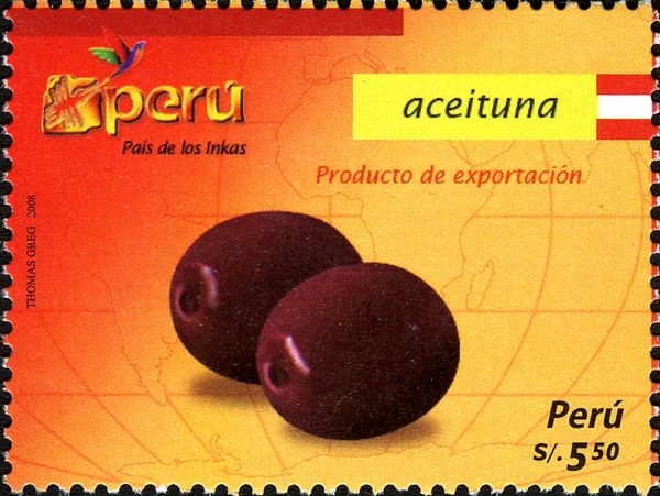 Products for Export - Aceituna or Olive