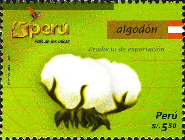 Products for Export - Algodon or Cotton