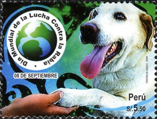 Dog (Canis lupus familiaris) gives Paw