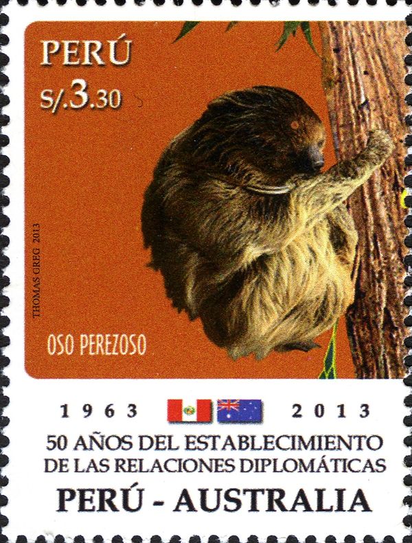 Linnaeus's two-toed Sloth (Choloepus didactylus)
