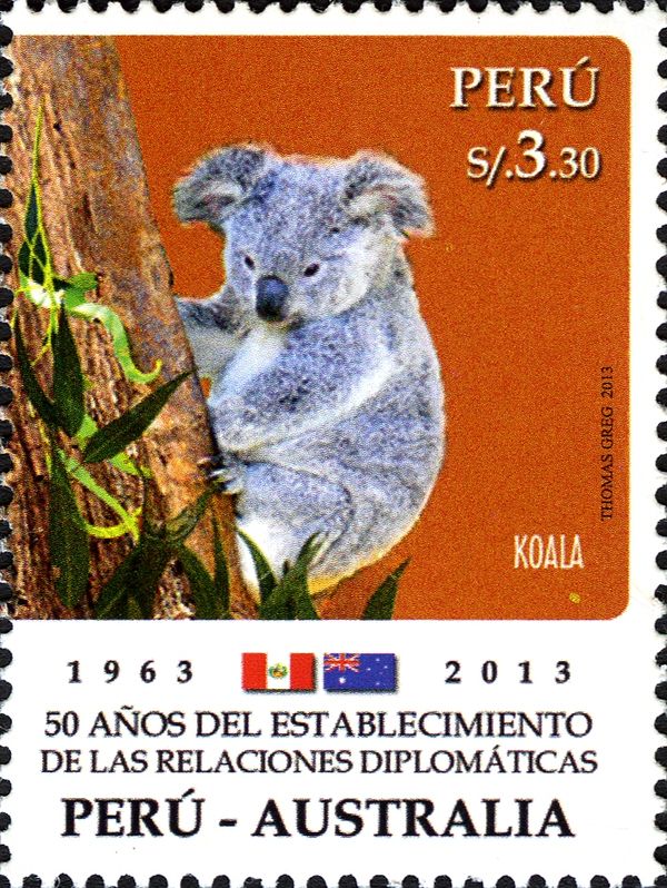 Koala (Phascolarctos cinereus)