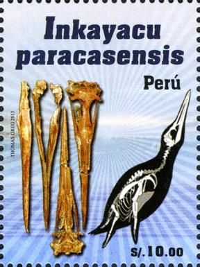 Inkayacu paracasensis