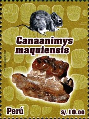 Canaanimys maquiensis