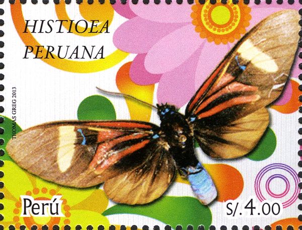 Moth (Histioea peruana)