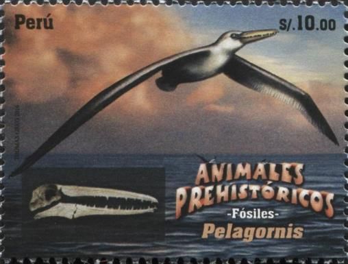 Prehistoric animals: Pelagornis