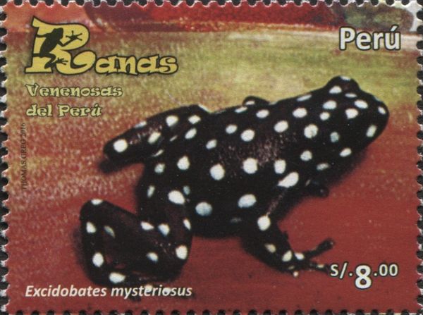 Excidobates mysteriosus