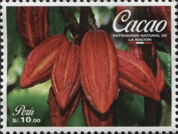 Cacao