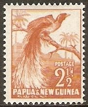 Raggiana Bird-of-Paradise (Paradisaea raggiana)