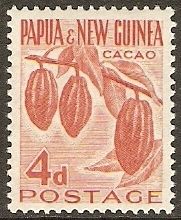 Cacao plant