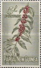Coffee beans