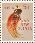 Raggiana Bird-of-paradise (Paradisaea raggiana)