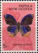 Nymphalid Butterfly (Terinos alurgis)
