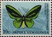Common Green Birdwing (Ornithoptera priamus poseidon)