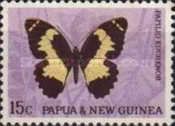 Swallowtail Butterfly (Papilio euchenor)