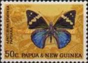 Turquoise Emperor (Apaturina erminea papuana)