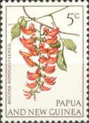 Mucuna novoguineensis