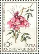 Tecomanthe dendrophila