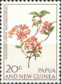 Rhododendron macgregoriae